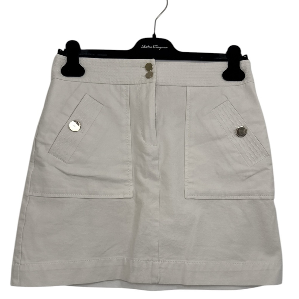 Ann Taylor Loft Lined Skirt
